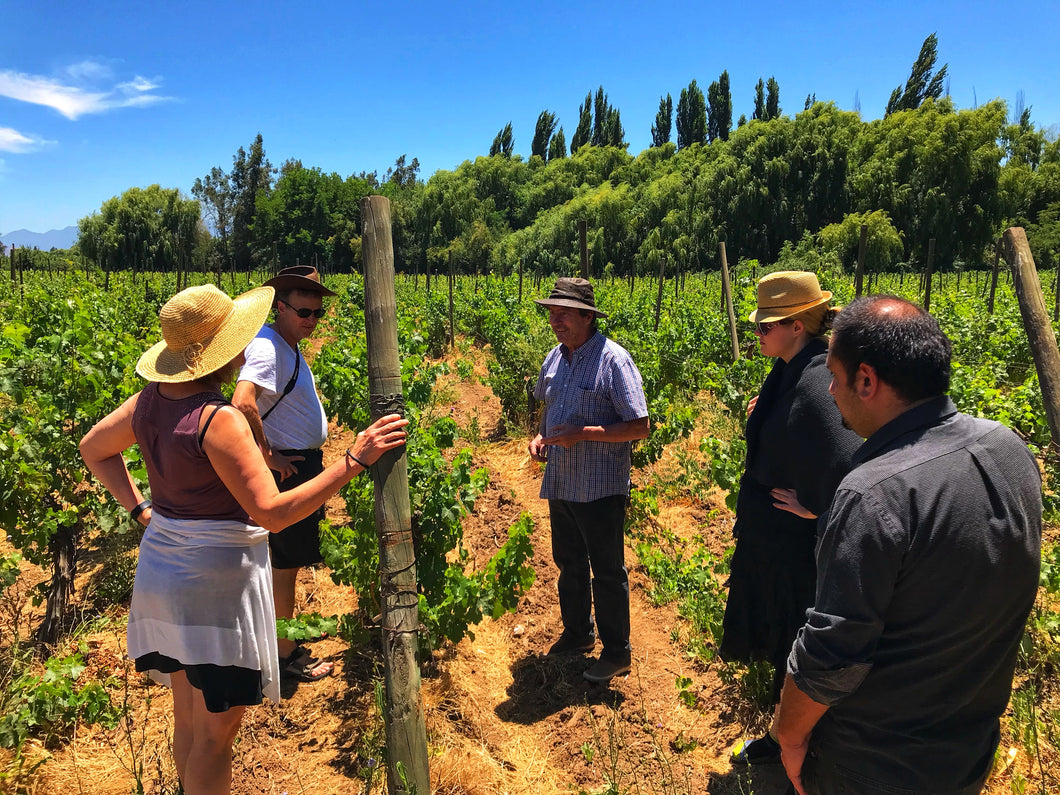 Tour y Degustación