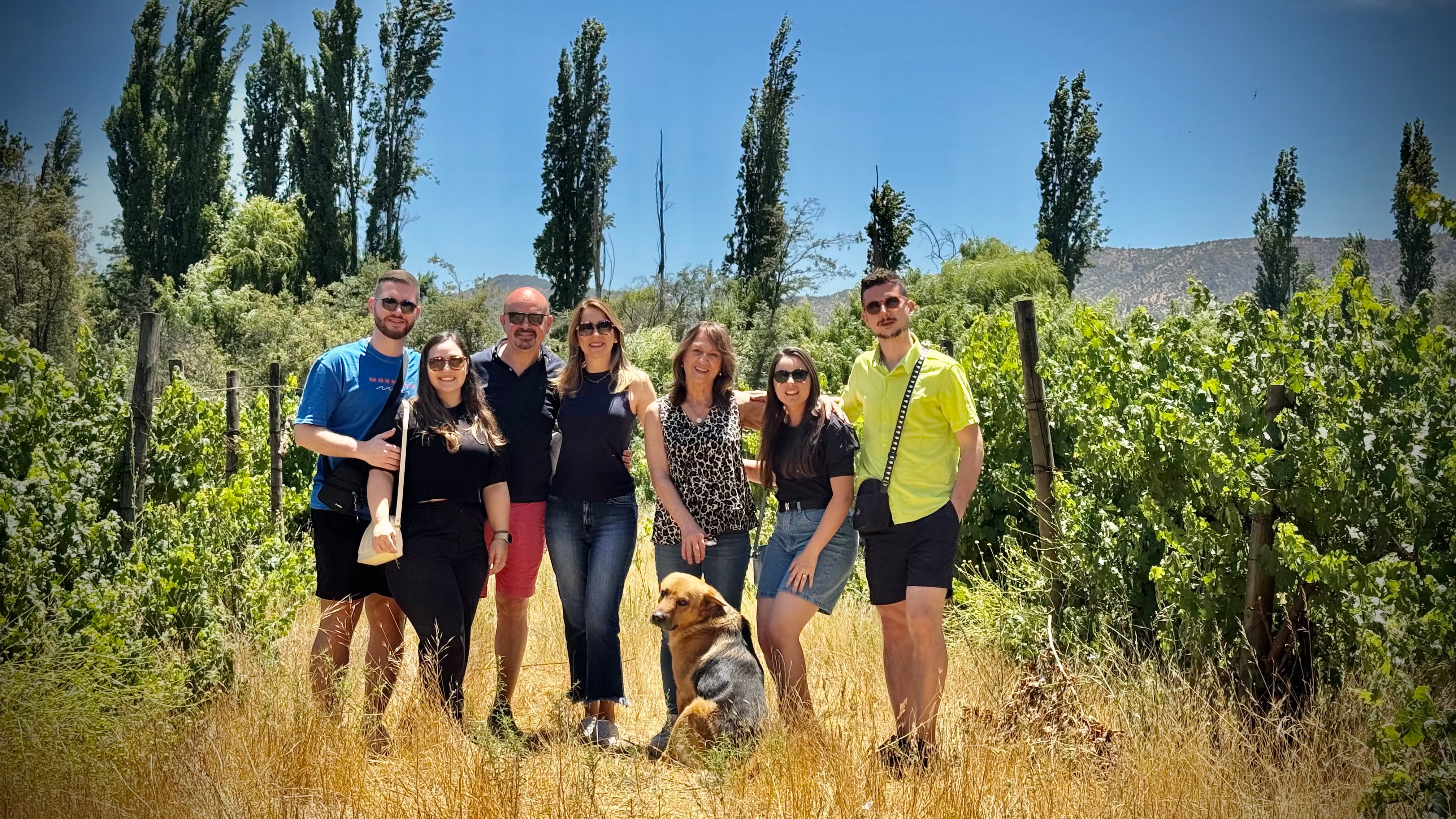 Tour y Degustación Viña Tipaume